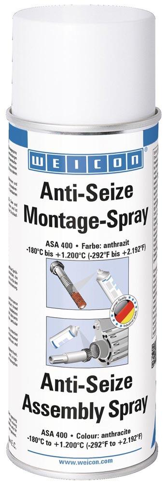 Anti-Seize-Paste 4555661110 NW