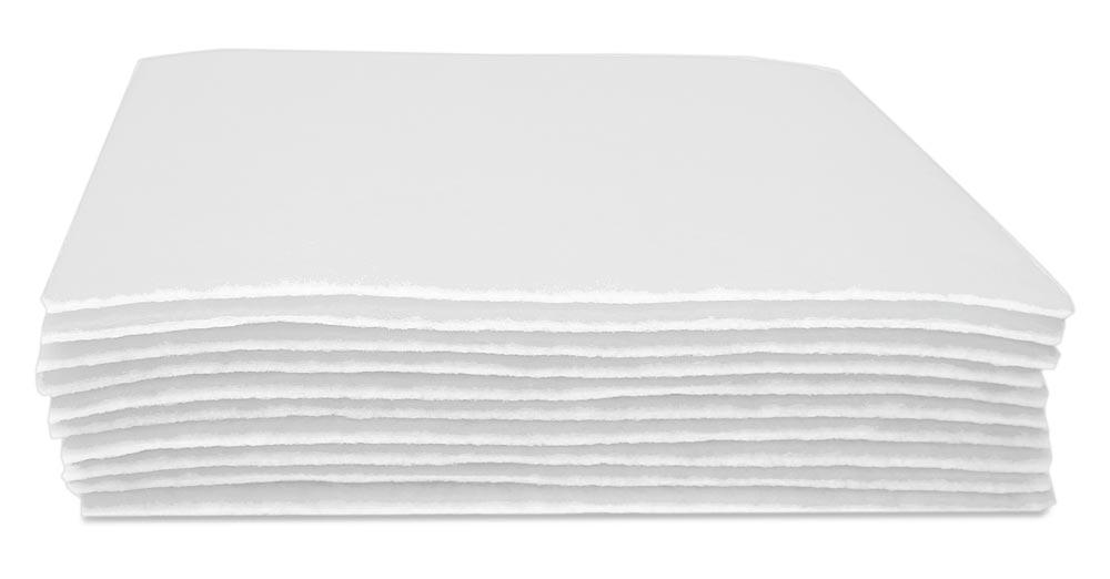 Satz Vorfiltermatten (10 Stück) für ProfiMaster